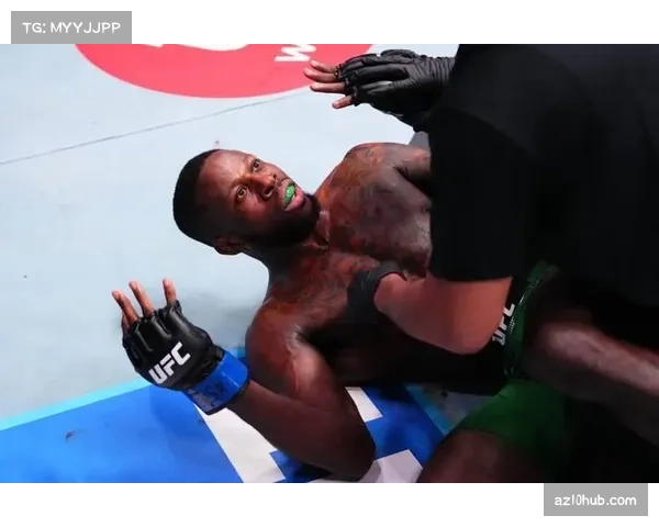 邦菲完美战术执行 低扫削弱接飞膝终结经验丰富布朗 邦菲完美战术执行 低扫削弱接飞膝终结经验丰富布朗